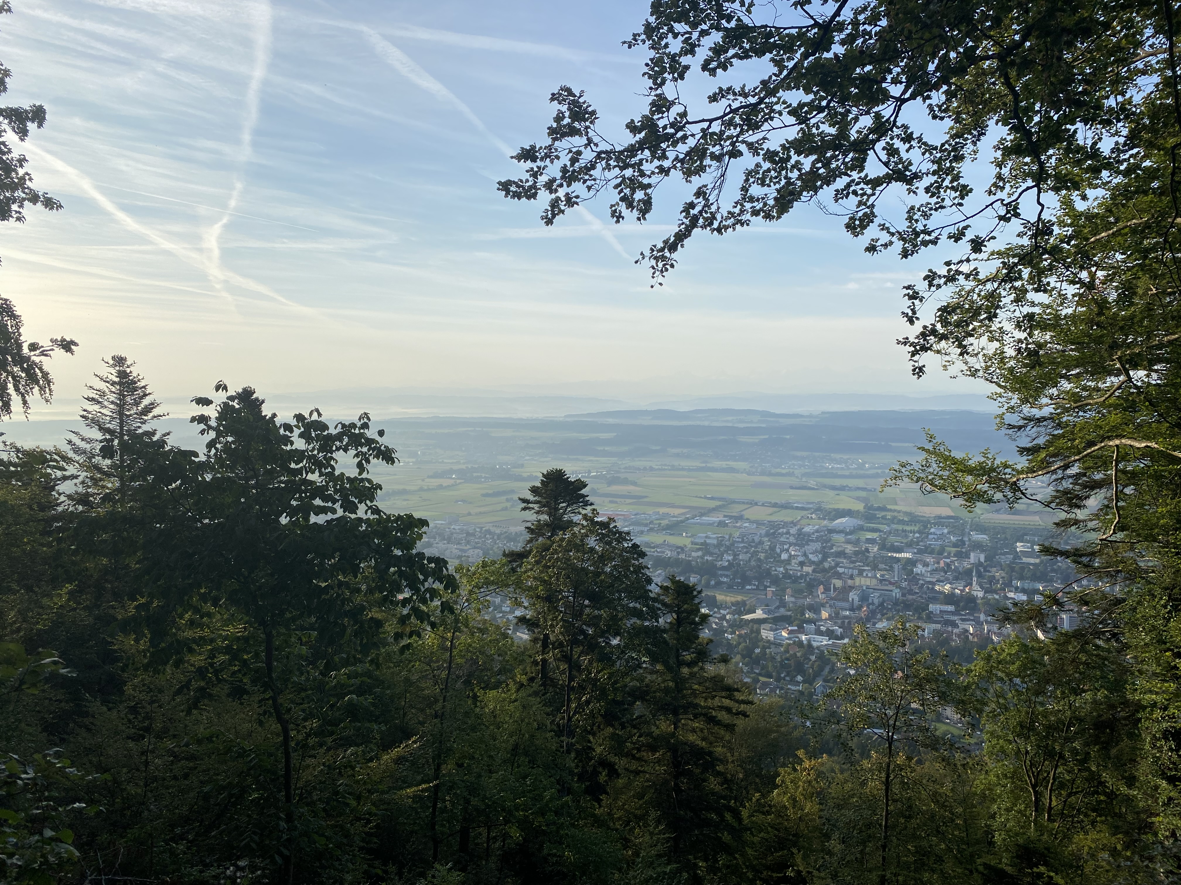 Aussicht vom Jura